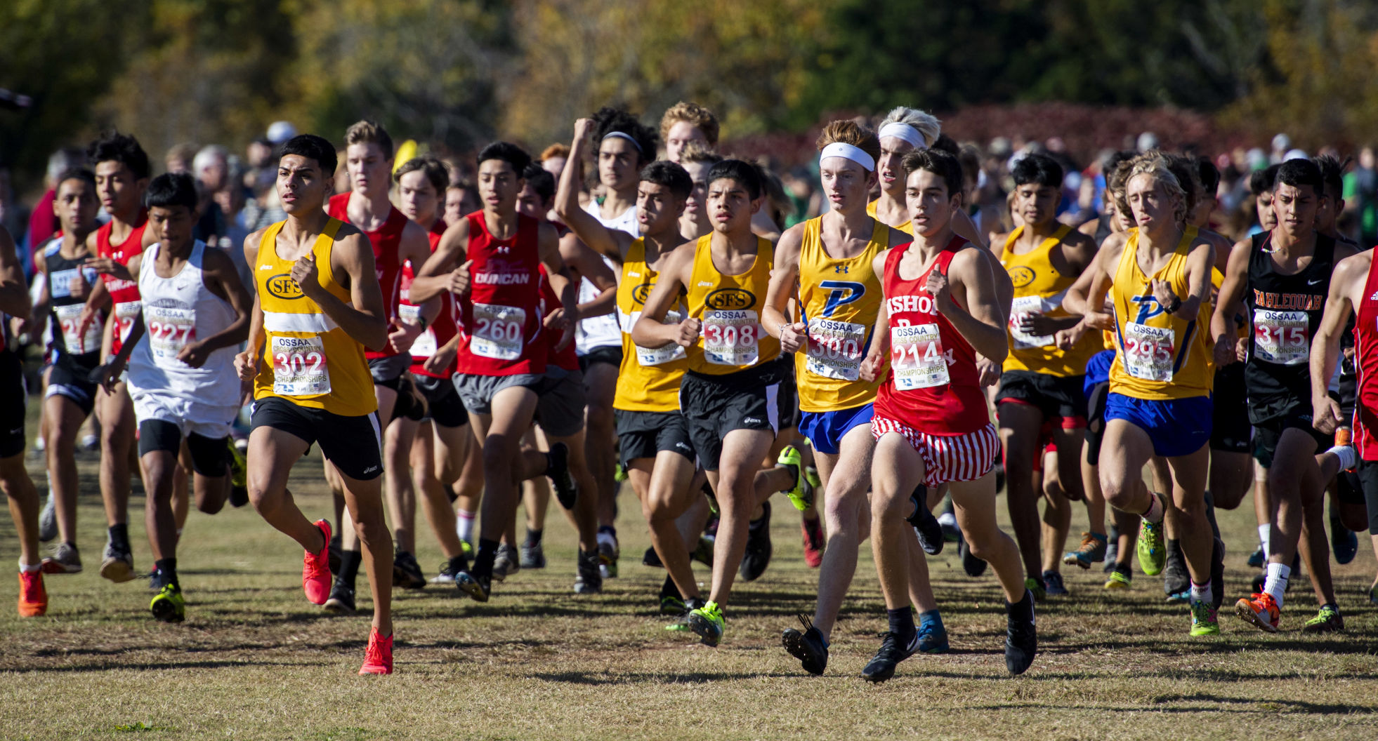 2018 boys cross country state champions